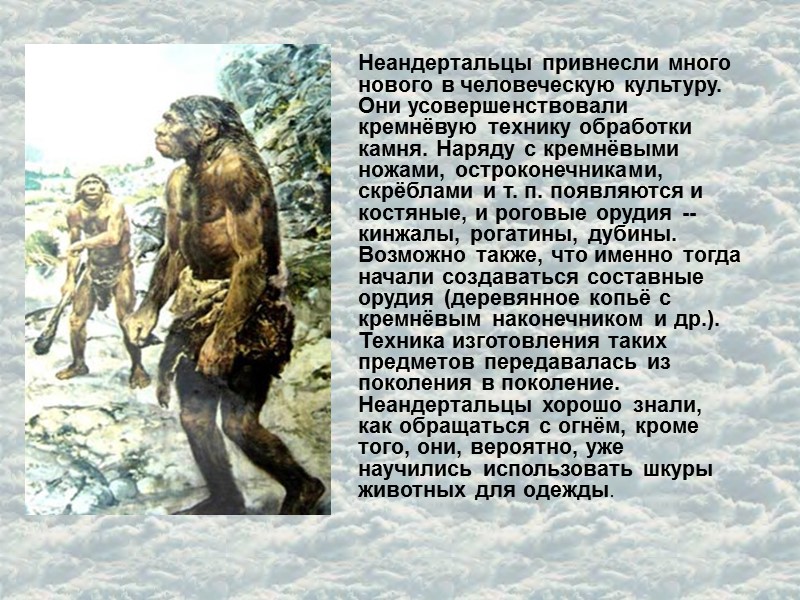 Неандертальцы привнесли много нового в человеческую культуру. Они усовершенствовали кремнёвую технику обработки камня. Наряду